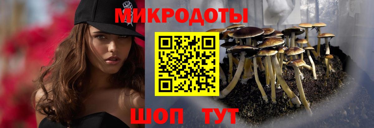 Галлюциногенные грибы MAGIC MUSHROOMS  Вход с VPN  Кинешма 